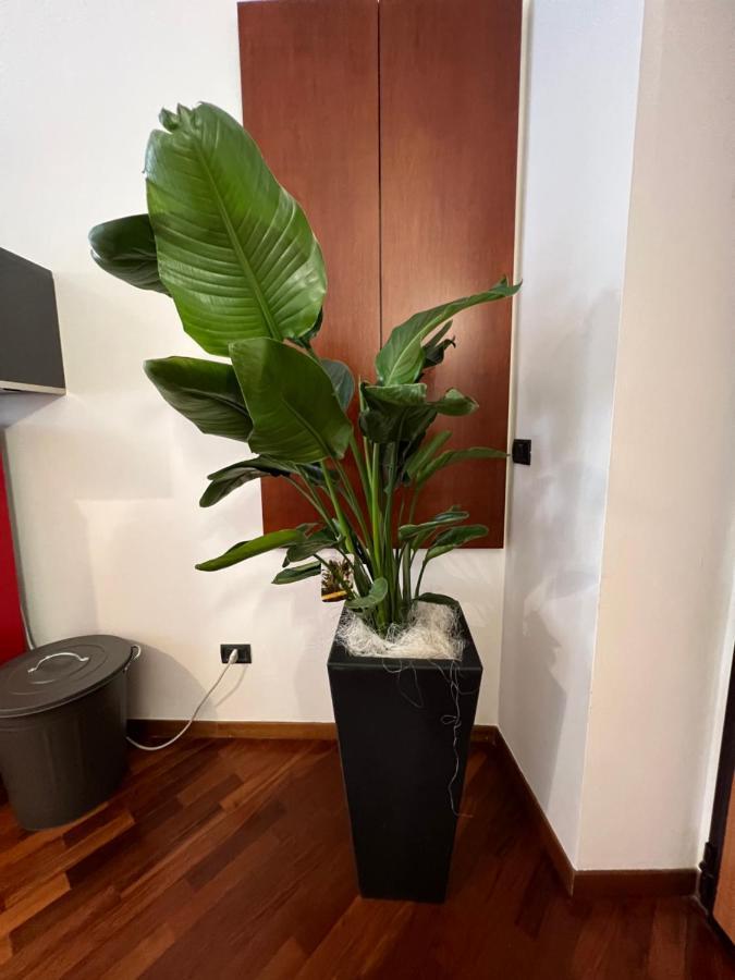 Effealatapartments - Appartamento Del Duca Senigallia Esterno foto