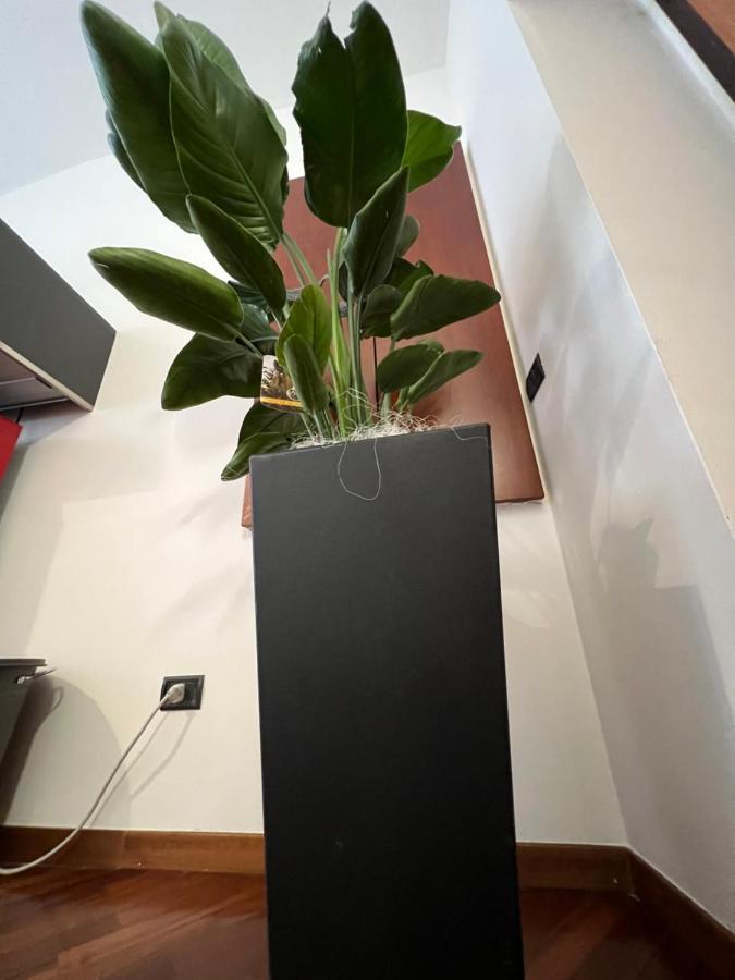 Effealatapartments - Appartamento Del Duca Senigallia Esterno foto
